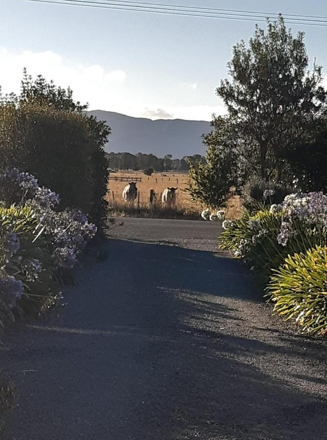 15 On Wards Bed & Breakfast Greytown Exterior foto
